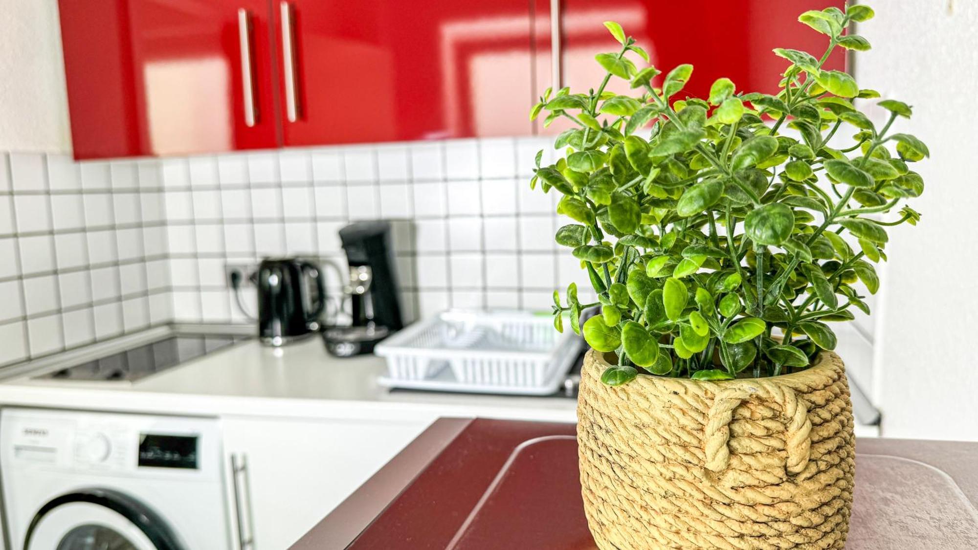 Business Altstadt Apartment *